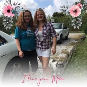 Meet your Posher, Colline